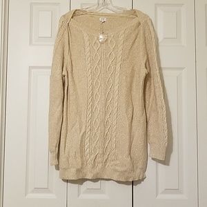 Cream and Gold Sweater